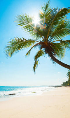 Best Caribbean Crane Beach, Barbados screenshot #1 240x400