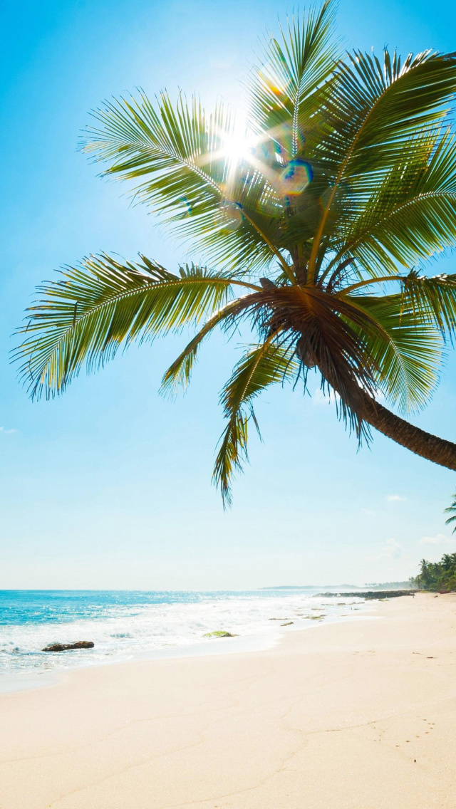 Das Best Caribbean Crane Beach, Barbados Wallpaper 640x1136