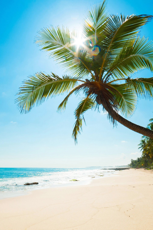 Das Best Caribbean Crane Beach, Barbados Wallpaper 640x960