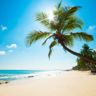 Обои Best Caribbean Crane Beach, Barbados для телефона и на рабочий стол iPad 3