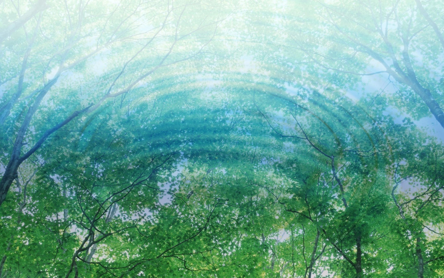 Fondo de pantalla Tree Reflections In Water 1440x900