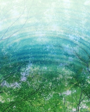 Tree Reflections In Water screenshot #1 176x220