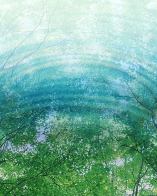 Tree Reflections In Water - Obrázkek zdarma pro Nokia C7