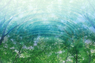 Tree Reflections In Water - Obrázkek zdarma pro Nokia X2-01