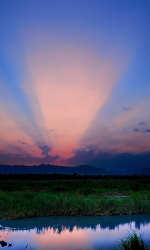 Sfondi Pink Sunrise 480x800