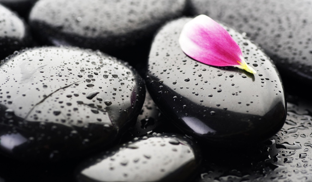 Stones And Petal wallpaper 1024x600