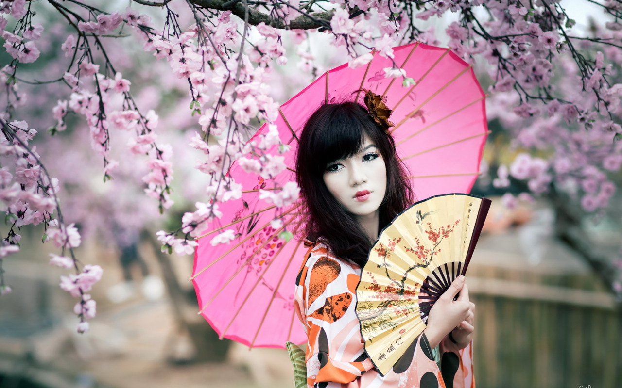 Sfondi Japanese Girl Under Sakura Tree 1280x800