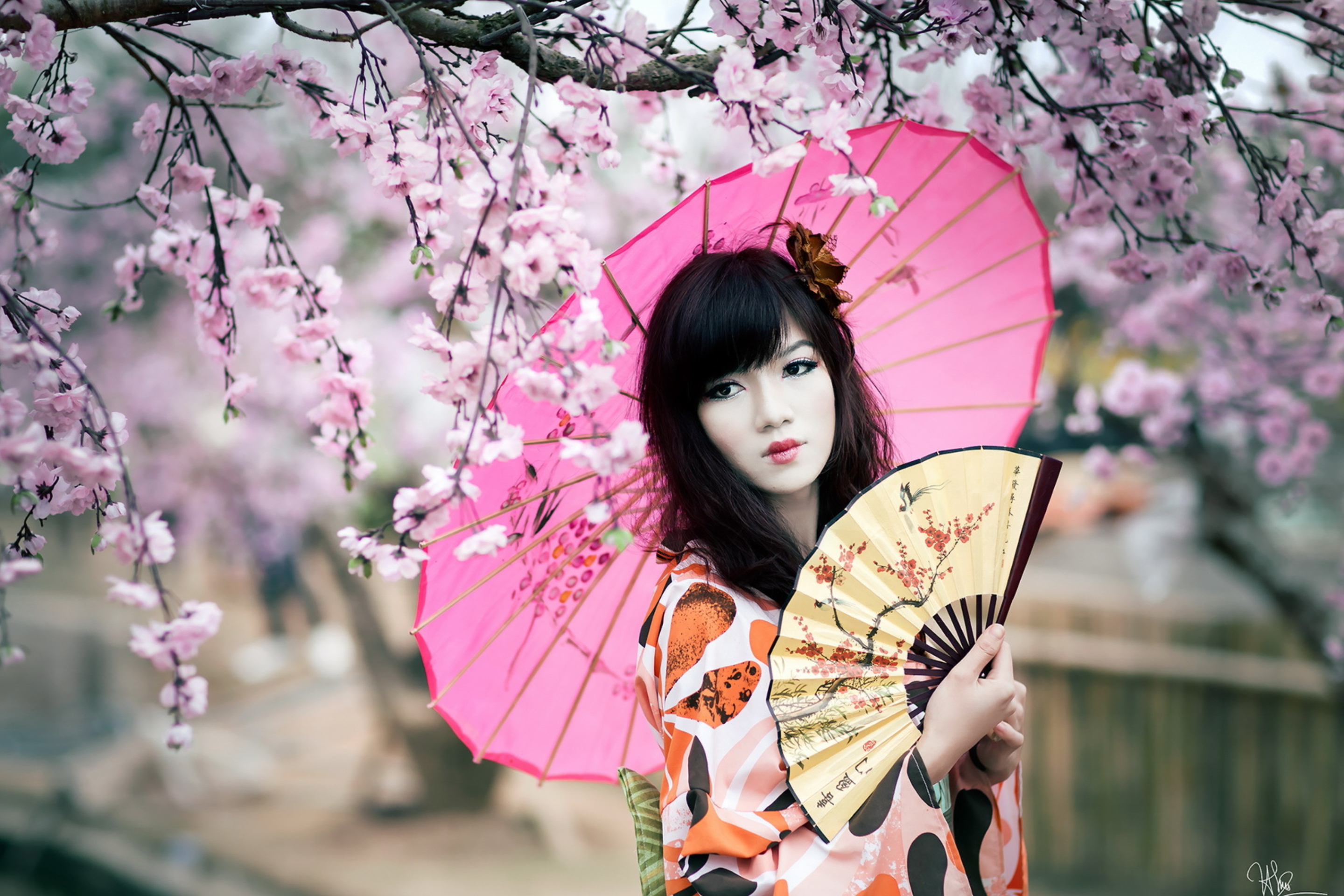 Das Japanese Girl Under Sakura Tree Wallpaper 2880x1920