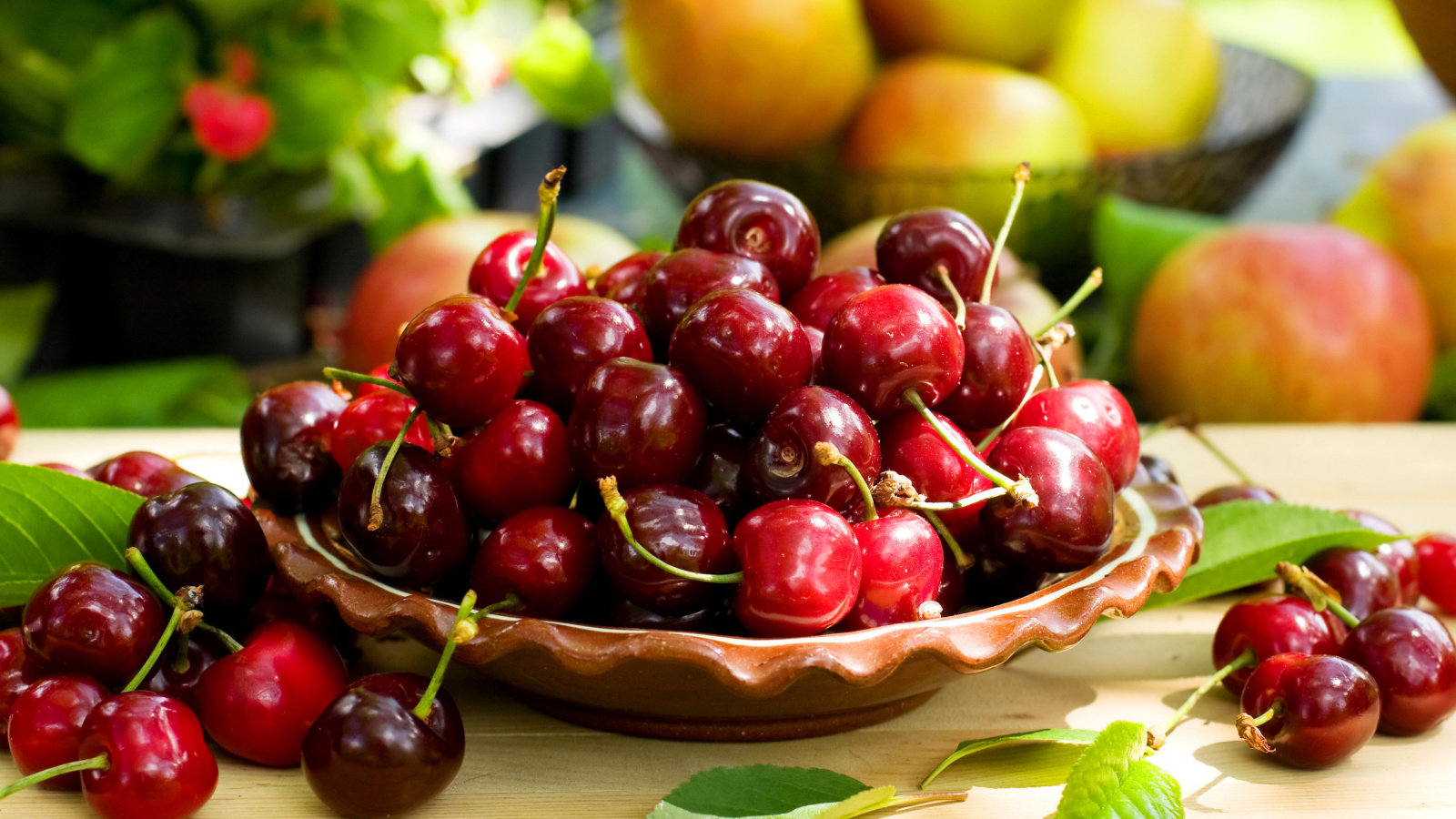 Wild Cherry wallpaper 1600x900