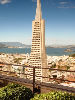 Das San Francisco City View Wallpaper 240x320