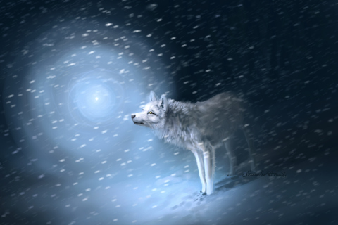Обои Wolf And Winter Painting 480x320