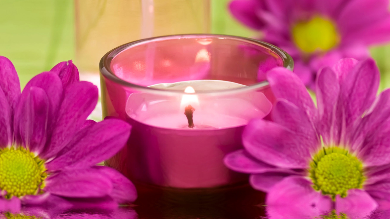 Violet Candle and Flowers wallpaper 1280x720