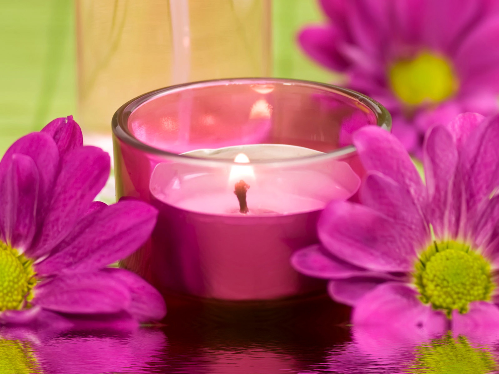 Sfondi Violet Candle and Flowers 1600x1200