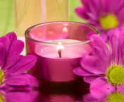 Fondo de pantalla Violet Candle and Flowers 176x144