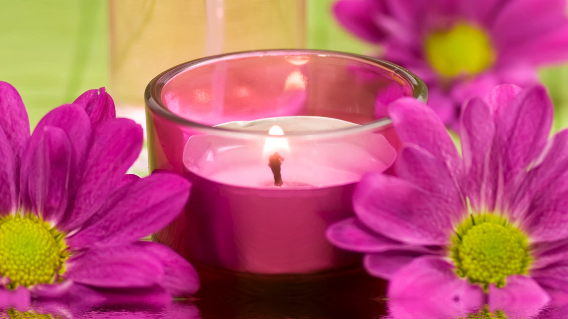 Das Violet Candle and Flowers Wallpaper 1920x1080