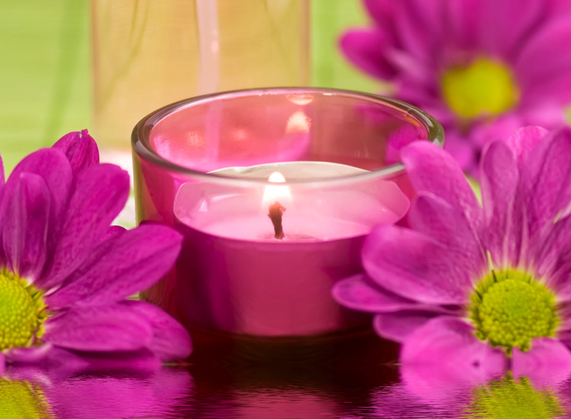 Sfondi Violet Candle and Flowers 1920x1408