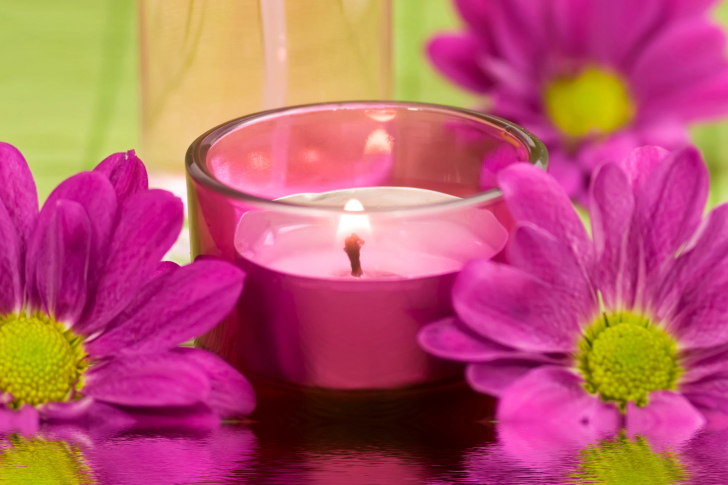 Das Violet Candle and Flowers Wallpaper