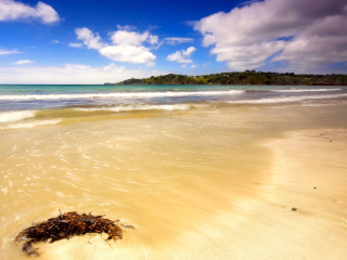 Mauritius Beach wallpaper 320x240