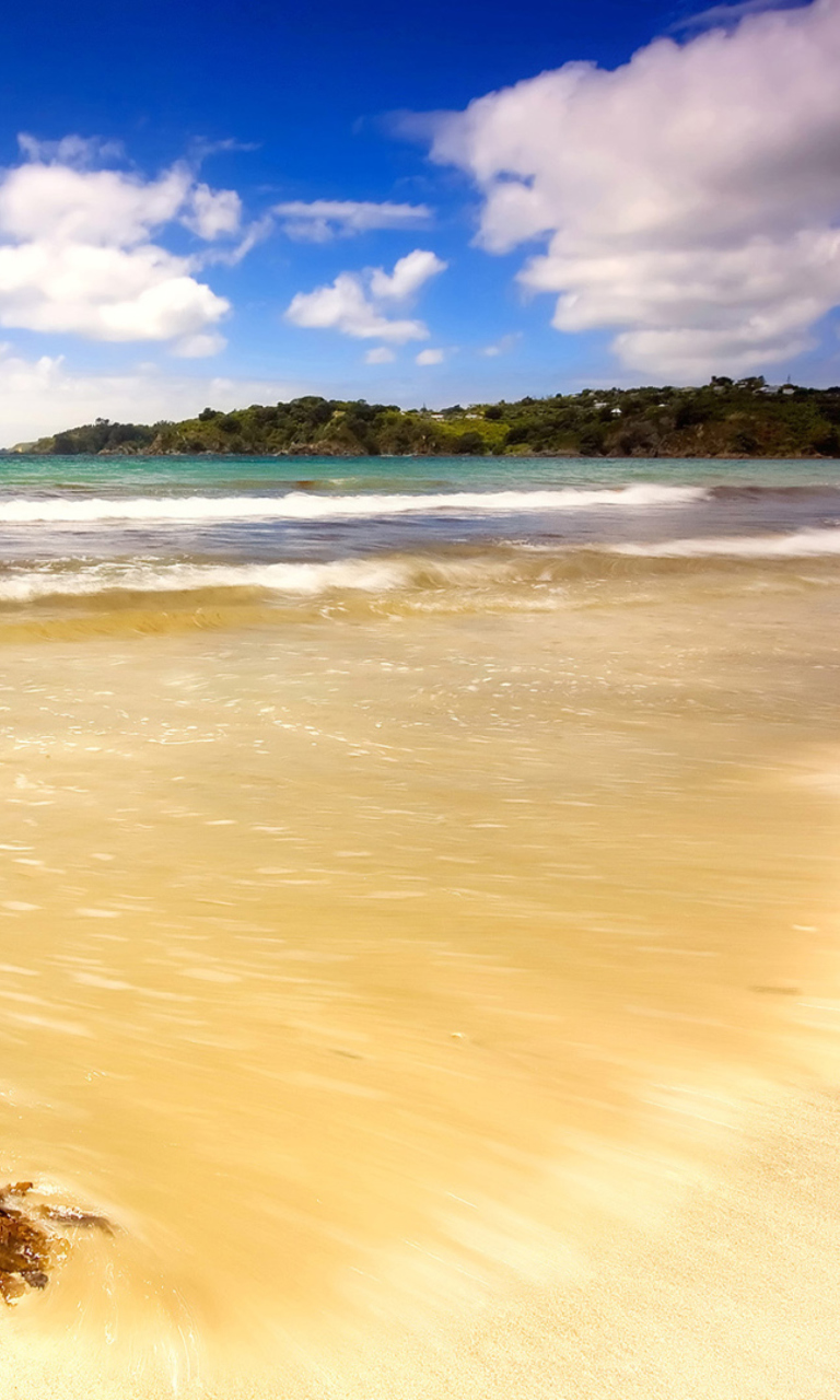 Das Mauritius Beach Wallpaper 768x1280