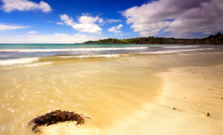 Mauritius Beach - Obrázkek zdarma pro Nokia Asha 210