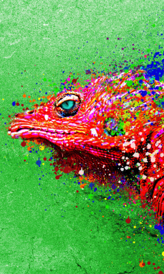 Das Lizard King Wallpaper 240x400