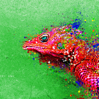 Lizard King - Obrázkek zdarma pro iPad 2