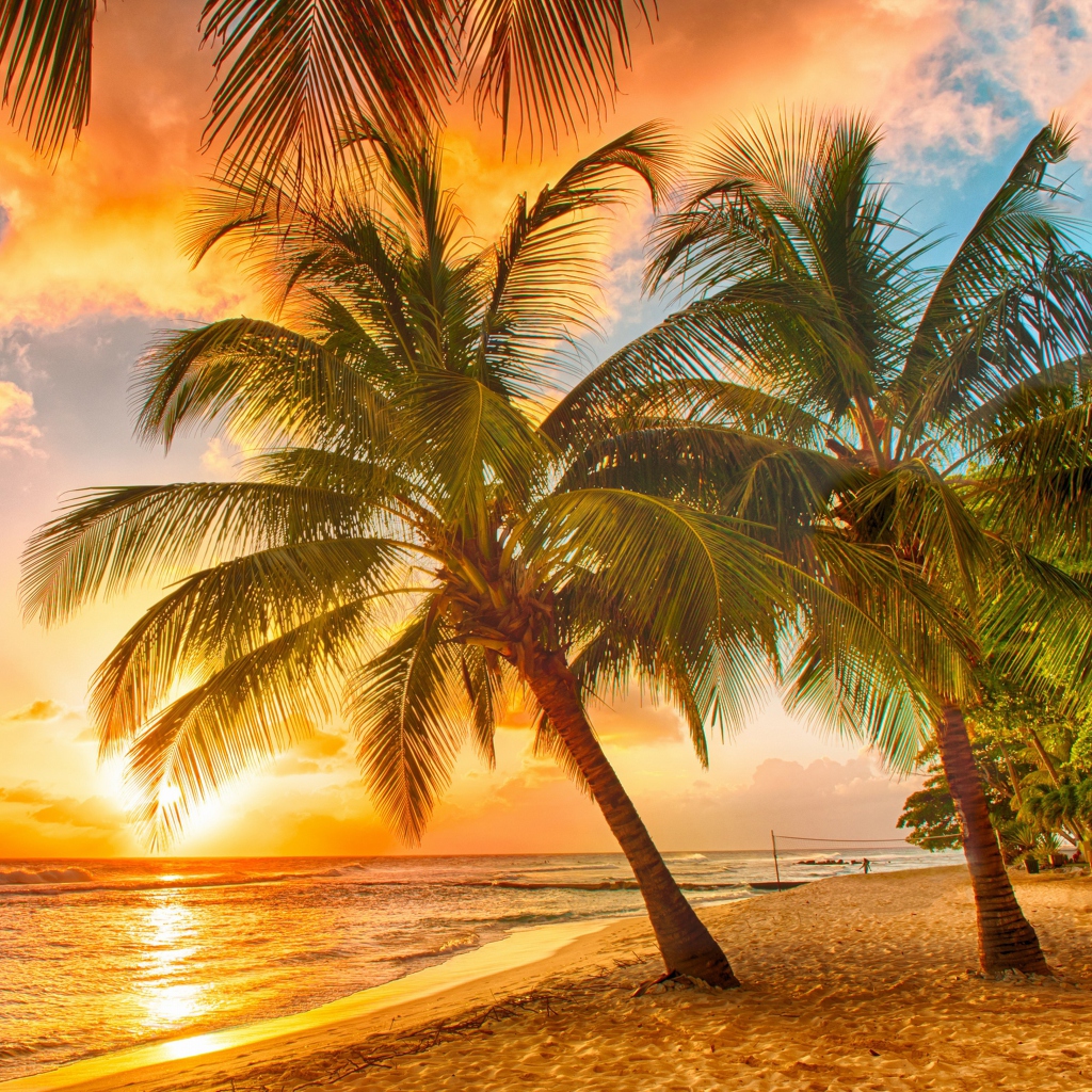Tropical Paradise Beach screenshot #1 1024x1024