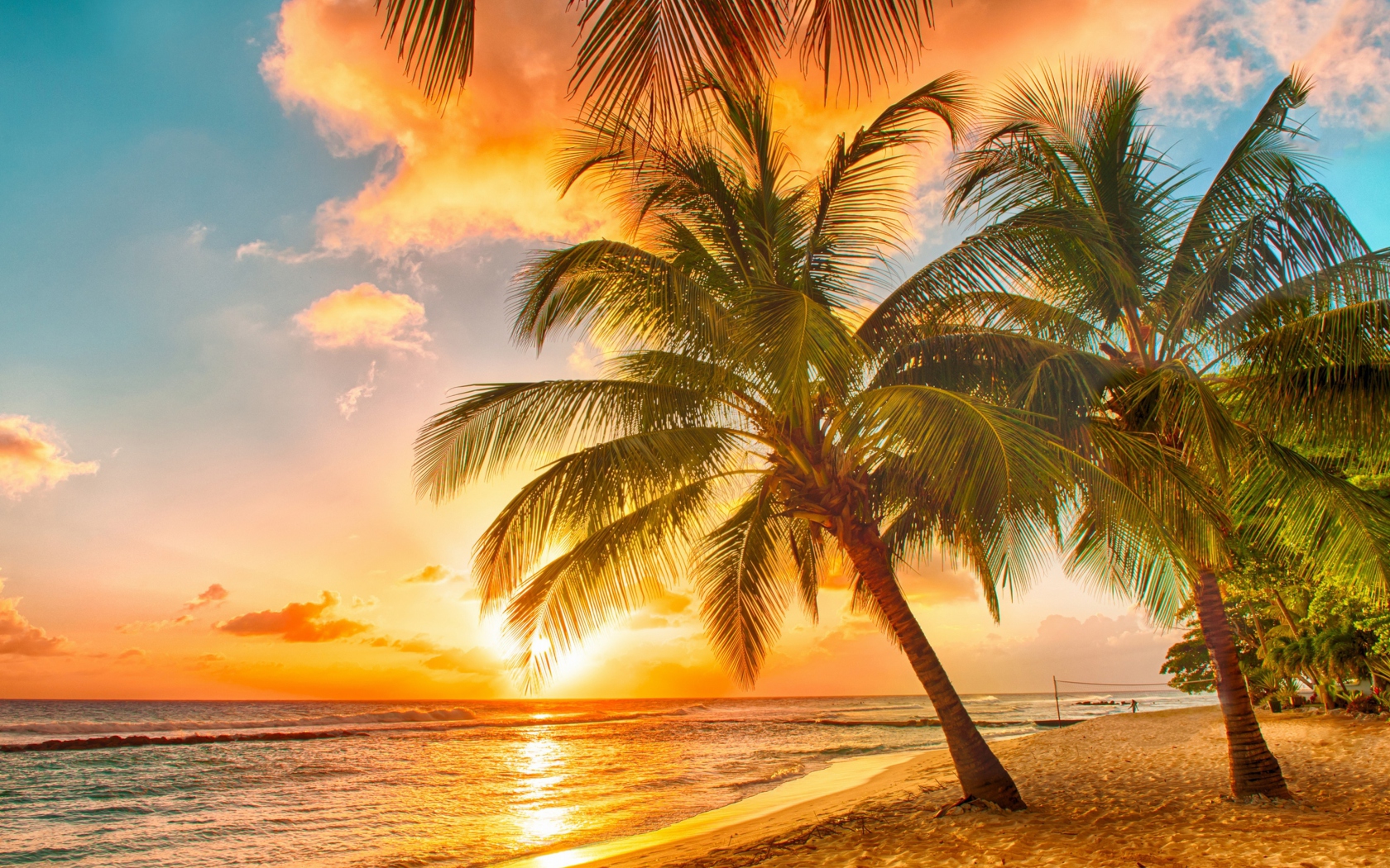 Tropical Paradise Beach wallpaper 1680x1050