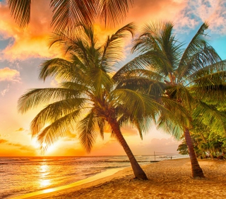 Tropical Paradise Beach - Obrázkek zdarma pro 128x128