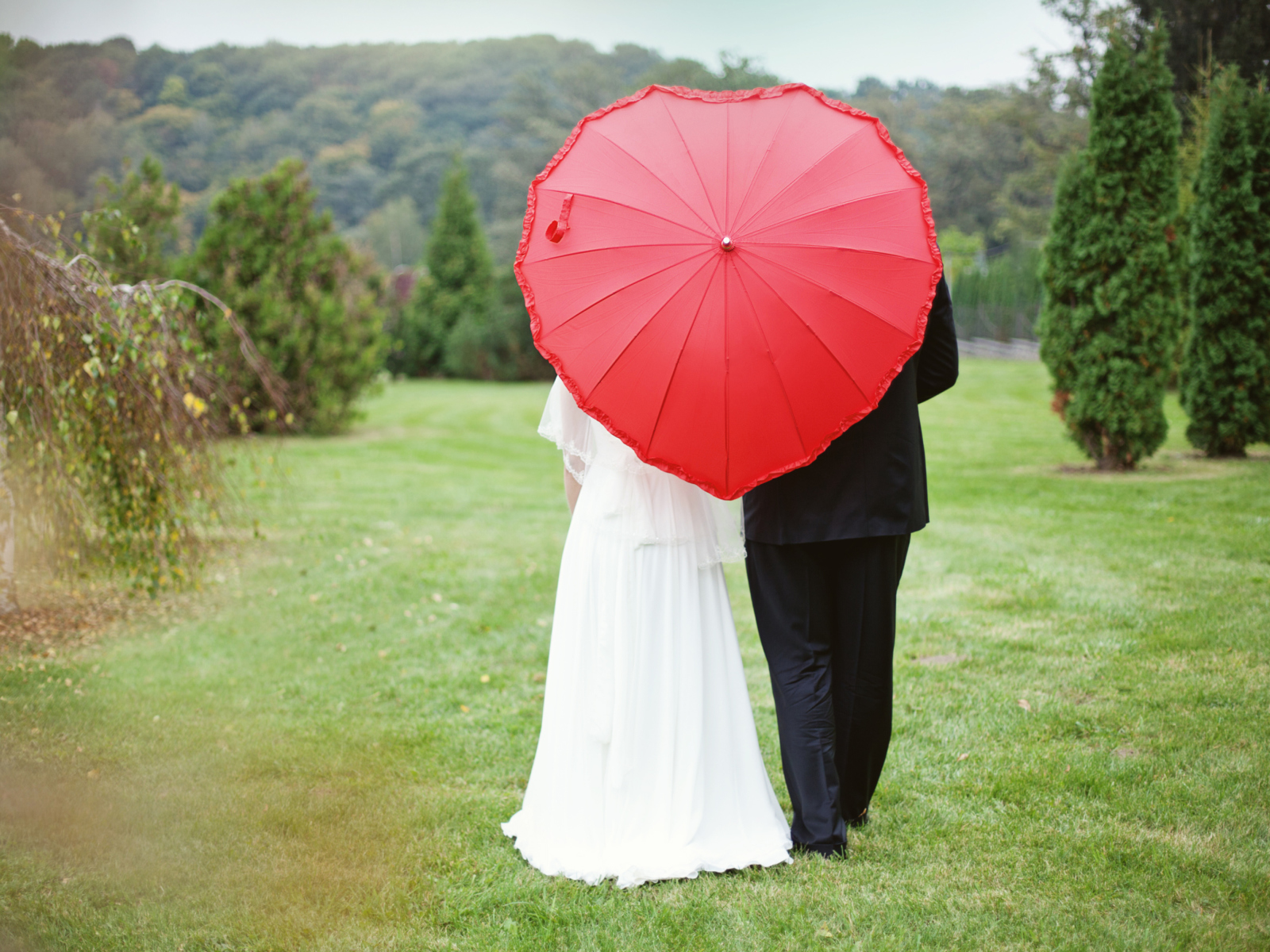 Just Married Couple Under Love Umbrella wallpaper 1600x1200