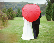 Fondo de pantalla Just Married Couple Under Love Umbrella 220x176
