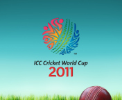 Screenshot №1 pro téma 2011 Cricket World Cup 176x144