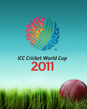Screenshot №1 pro téma 2011 Cricket World Cup 176x220