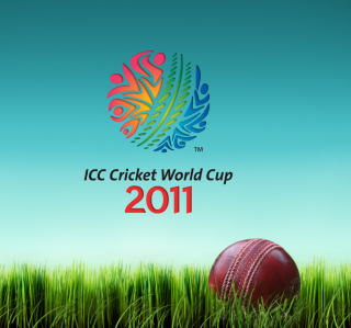 Kostenloses 2011 Cricket World Cup Wallpaper für iPad 2