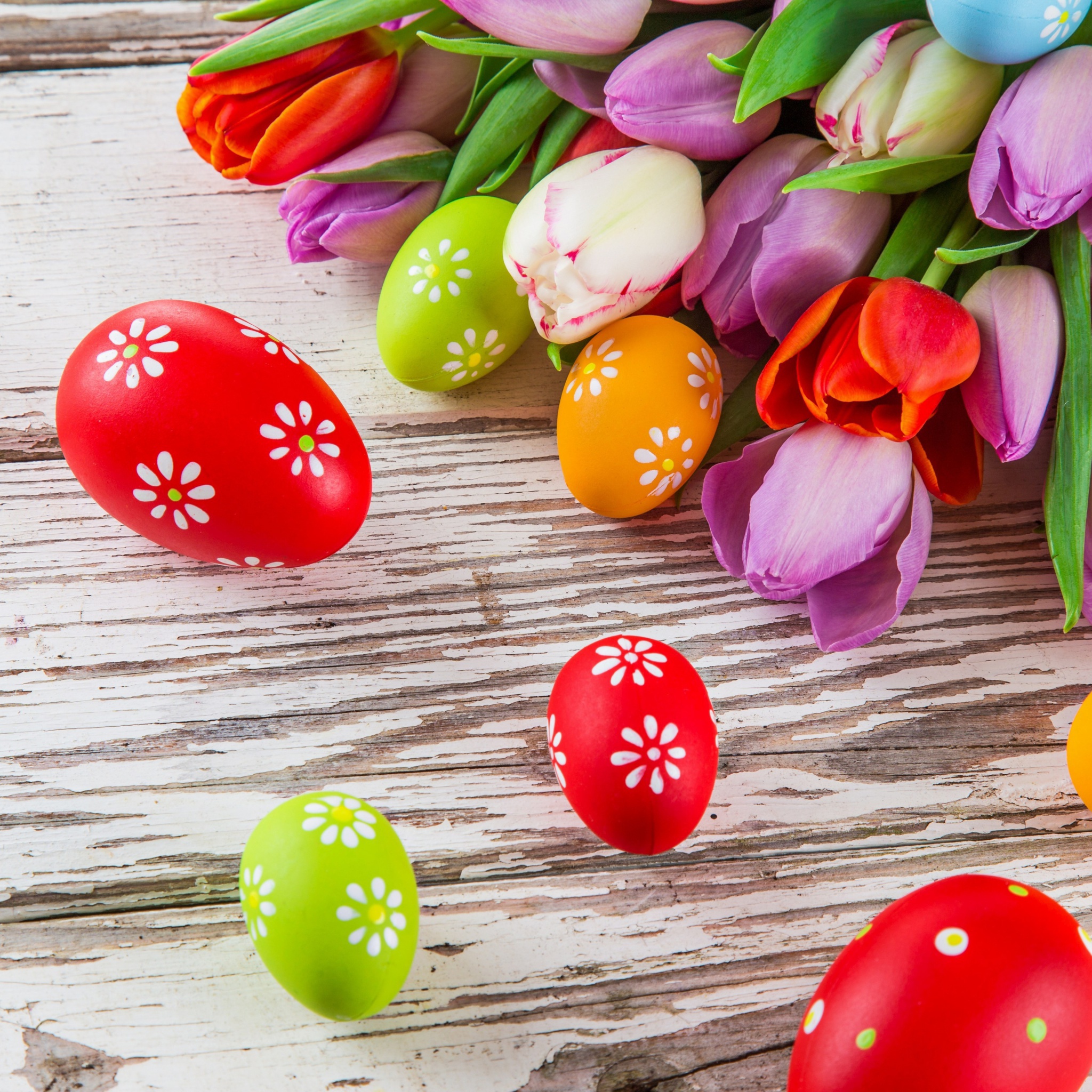 Das Easter Tulips and Colorful Eggs Wallpaper 2048x2048