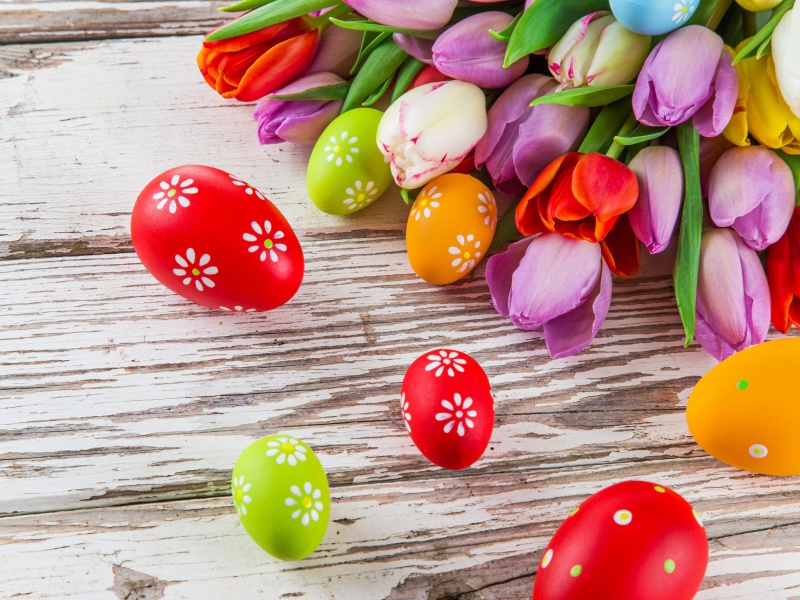 Das Easter Tulips and Colorful Eggs Wallpaper 800x600