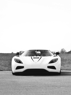 Screenshot №1 pro téma Koenigsegg Agera 240x320