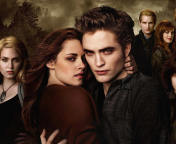 Screenshot №1 pro téma Twilight Saga Breaking Dawn 176x144