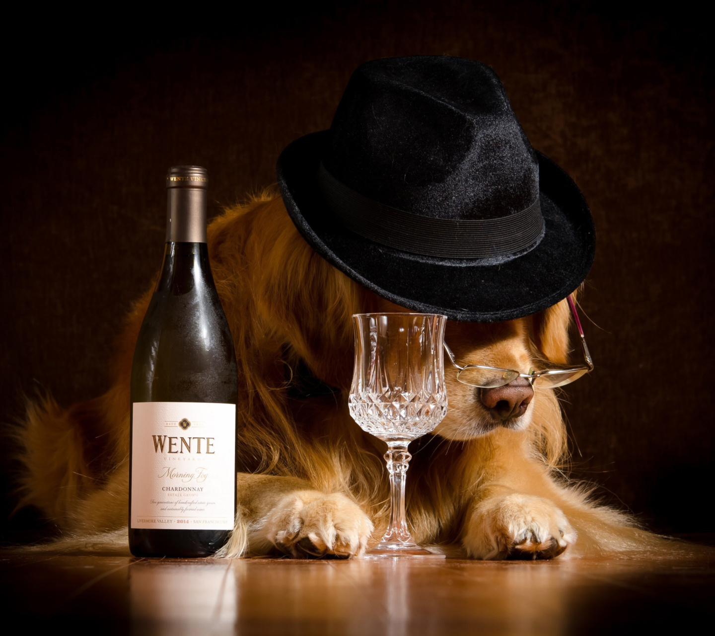 Fondo de pantalla Wine and Dog 1440x1280