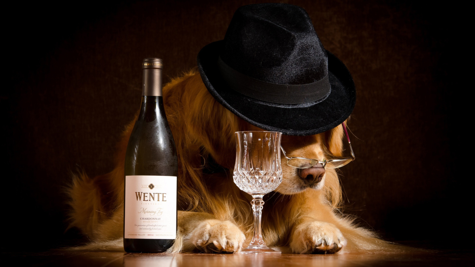 Обои Wine and Dog 1600x900