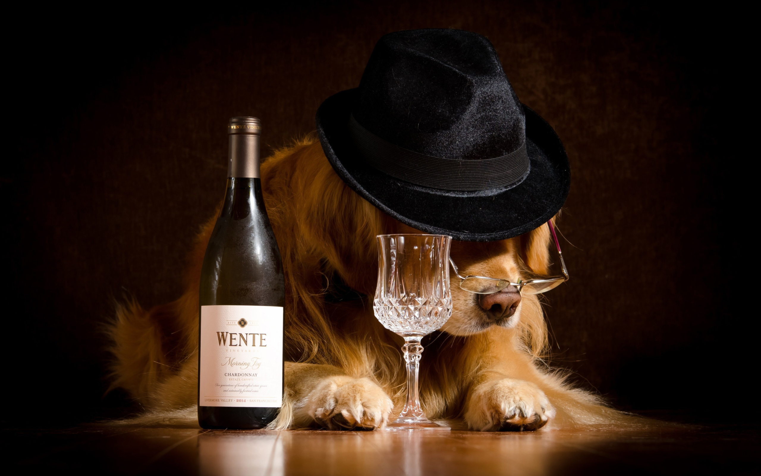 Обои Wine and Dog 2560x1600