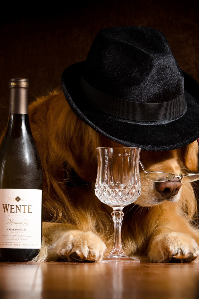 Обои Wine and Dog 640x960