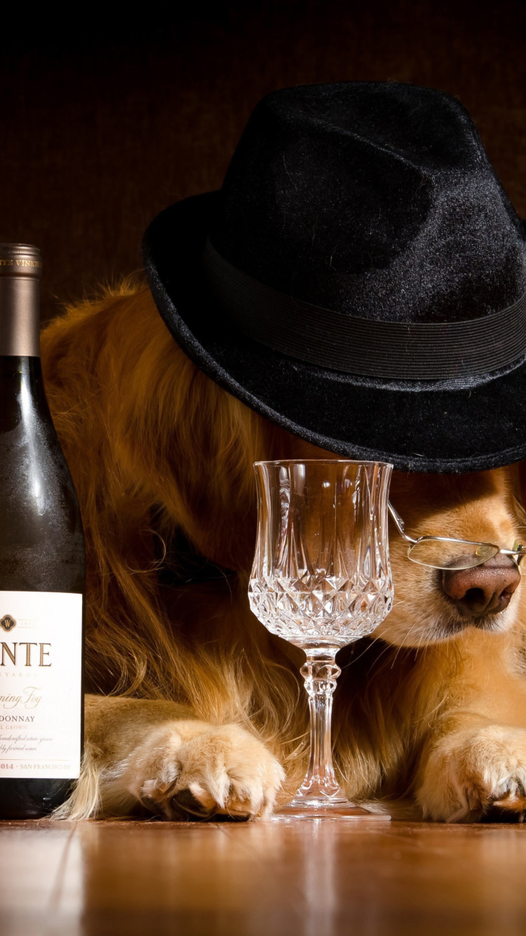 Обои Wine and Dog 750x1334