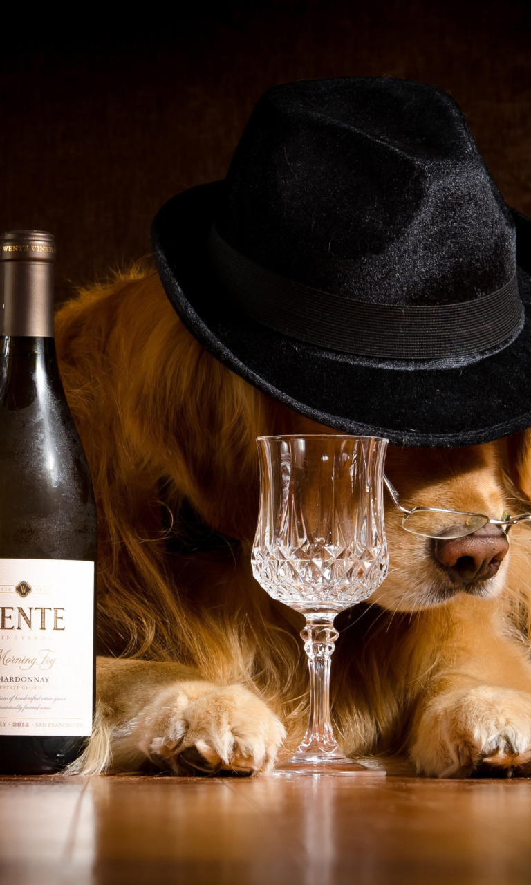 Обои Wine and Dog 768x1280