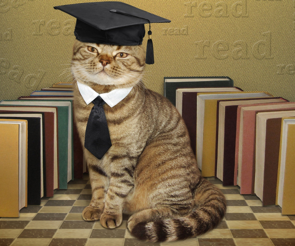 Clever cat with Books wallpaper 960x800
