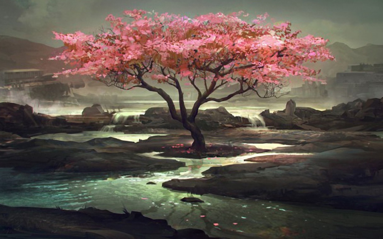 Обои Blossom Tree Painting 1280x800