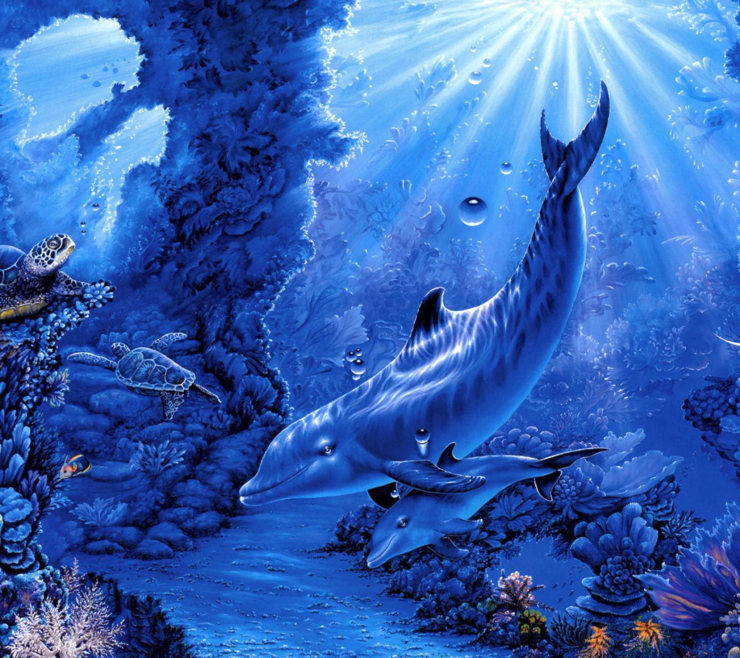 Das Dolphins Life Wallpaper 1440x1280