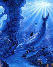 Das Dolphins Life Wallpaper 176x220