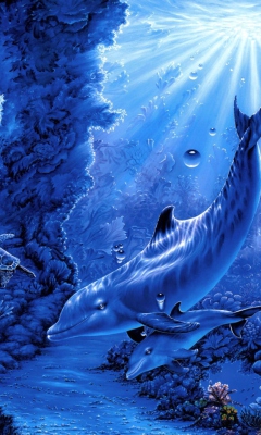 Das Dolphins Life Wallpaper 240x400