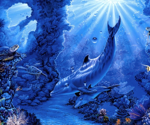 Das Dolphins Life Wallpaper 480x400